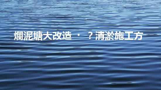 爛泥塘大改造？清淤施工方案看這里！